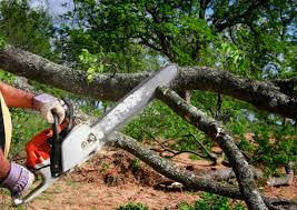 How Our Tree Care Process Works  in  Vance, AL